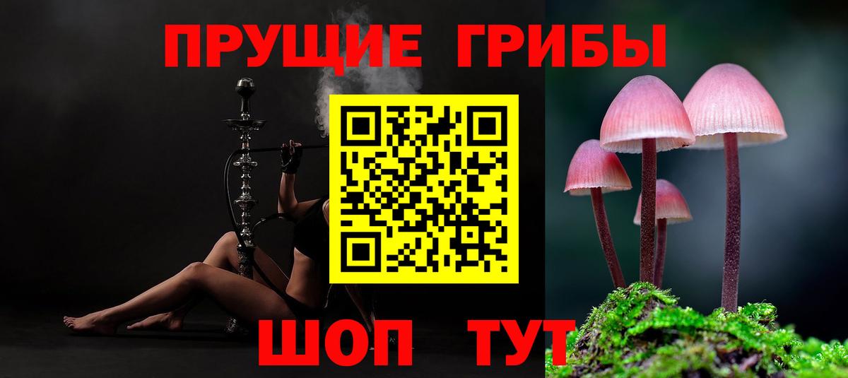 Галлюциногенные грибы GOLDEN TEACHER  Галлюциногенные грибы MAGIC MUSHROOMS  Вход с VPN  Саратов 